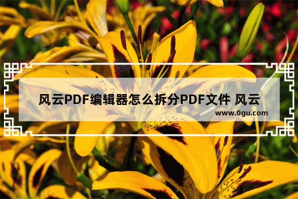 风云PDF编辑器怎么拆分PDF文件 风云pdf编辑器拆分PDF文档的方法