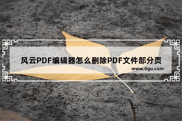 风云PDF编辑器怎么删除PDF文件部分页面 风云PDF编辑器删除PDF文档空白页面的方法