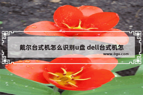 戴尔台式机怎么识别u盘 dell台式机怎么u盘启动zol问答