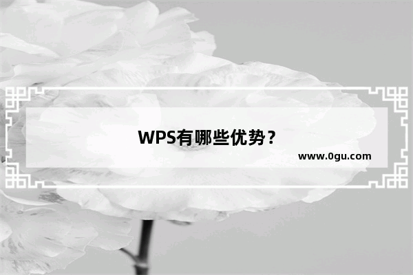 WPS有哪些优势？