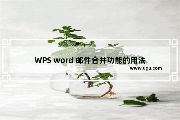 WPS word 邮件合并功能的用法