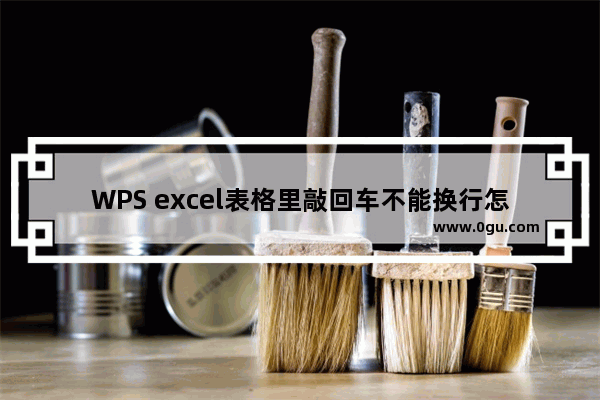 WPS excel表格里敲回车不能换行怎么办