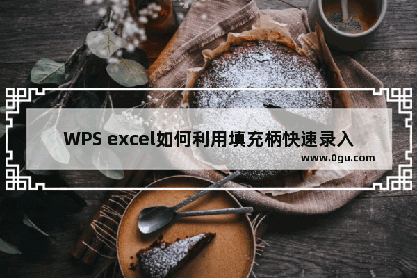 WPS excel如何利用填充柄快速录入