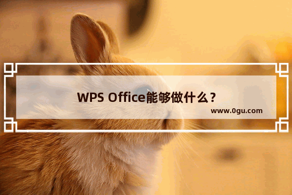 WPS Office能够做什么？