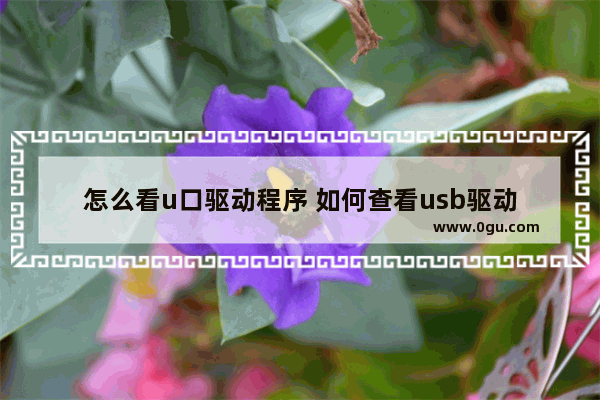 怎么看u口驱动程序 如何查看usb驱动