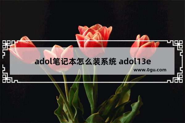 adol笔记本怎么装系统 adol13e安装系统