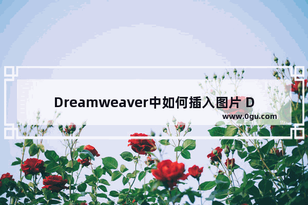 Dreamweaver中如何插入图片 DW软件添加图片的方法