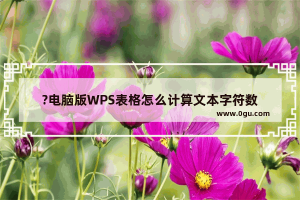 ?电脑版WPS表格怎么计算文本字符数