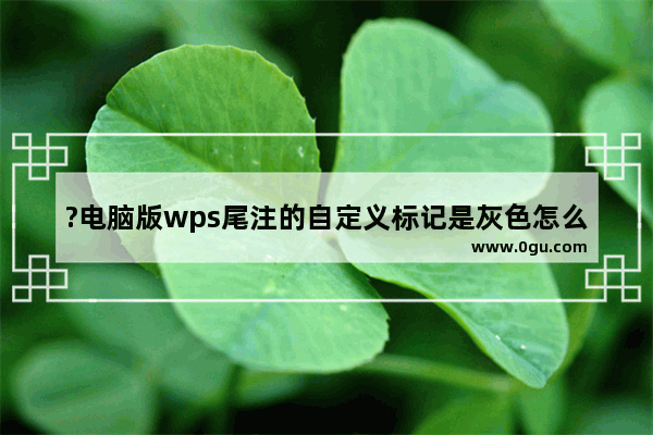 ?电脑版wps尾注的自定义标记是灰色怎么办