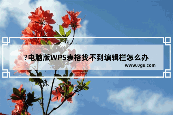 ?电脑版WPS表格找不到编辑栏怎么办