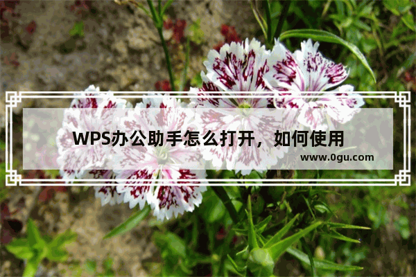 WPS办公助手怎么打开，如何使用