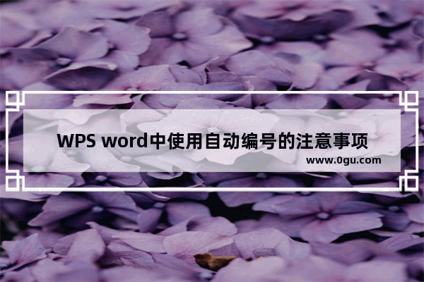 WPS word中使用自动编号的注意事项