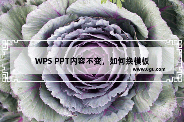 WPS PPT内容不变，如何换模板