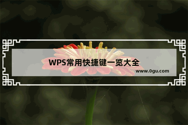 WPS常用快捷键一览大全