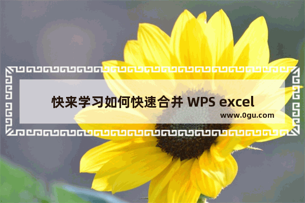 快来学习如何快速合并 WPS excel的多列数据吧