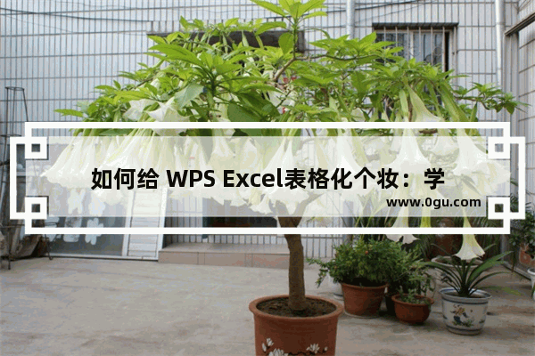 如何给 WPS Excel表格化个妆：学会这几种转置方法，表格数据大变样