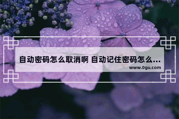 自动密码怎么取消啊 自动记住密码怎么取消