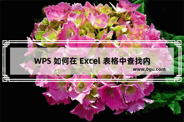 WPS 如何在 Excel 表格中查找内容