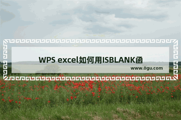 WPS excel如何用ISBLANK函数快速查看单元格空格