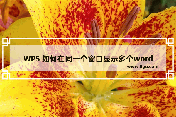 WPS 如何在同一个窗口显示多个word文档