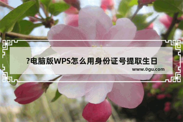 ?电脑版WPS怎么用身份证号提取生日