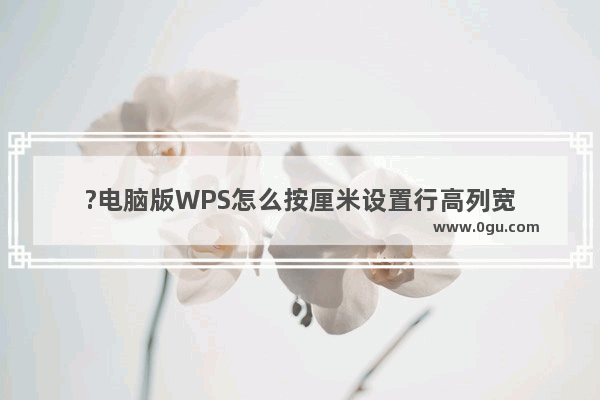 ?电脑版WPS怎么按厘米设置行高列宽