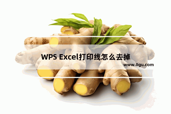 WPS Excel打印线怎么去掉