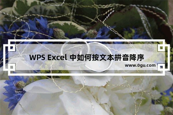 WPS Excel 中如何按文本拼音降序