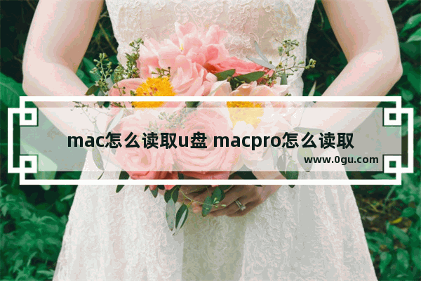 mac怎么读取u盘 macpro怎么读取u盘