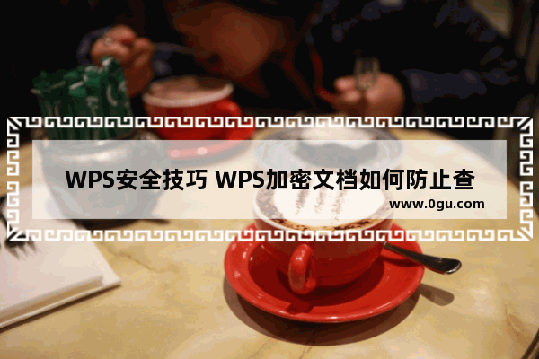 WPS安全技巧 WPS加密文档如何防止查看与修改