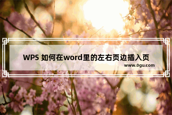 WPS 如何在word里的左右页边插入页码