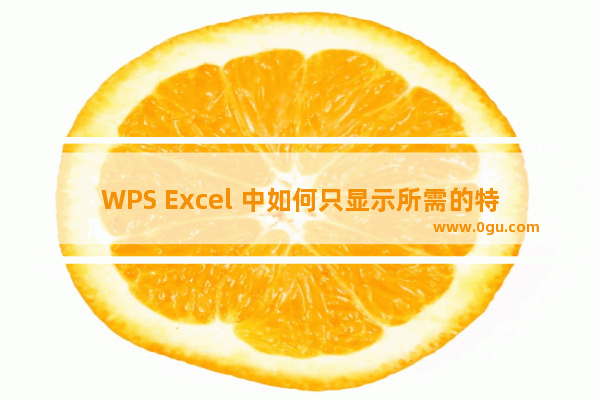 WPS Excel 中如何只显示所需的特定内容