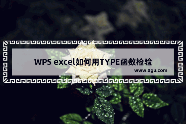 WPS excel如何用TYPE函数检验数值类型