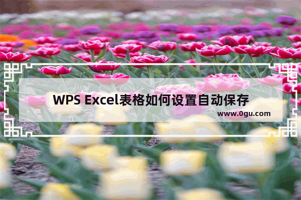 WPS Excel表格如何设置自动保存