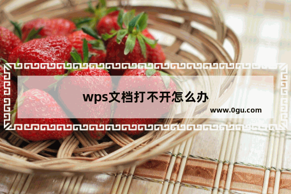 wps文档打不开怎么办