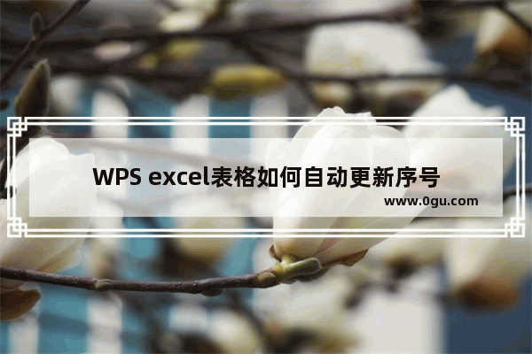 WPS excel表格如何自动更新序号