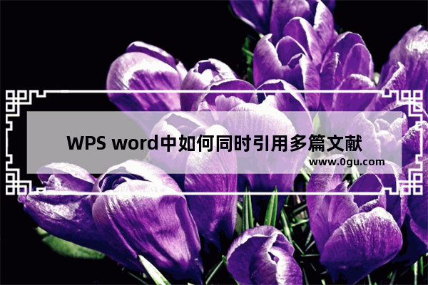 WPS word中如何同时引用多篇文献