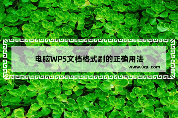 电脑WPS文档格式刷的正确用法