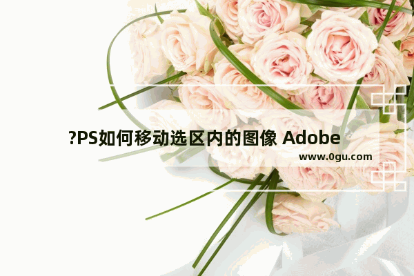 ?PS如何移动选区内的图像 Adobe Photoshop移动选区内容的方法教程