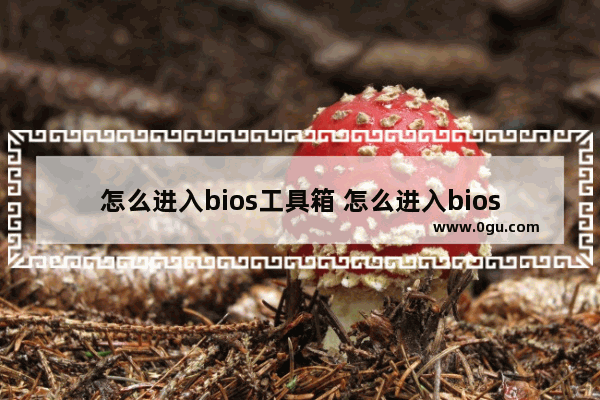 怎么进入bios工具箱 怎么进入bios快捷键