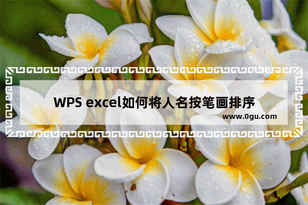 WPS excel如何将人名按笔画排序