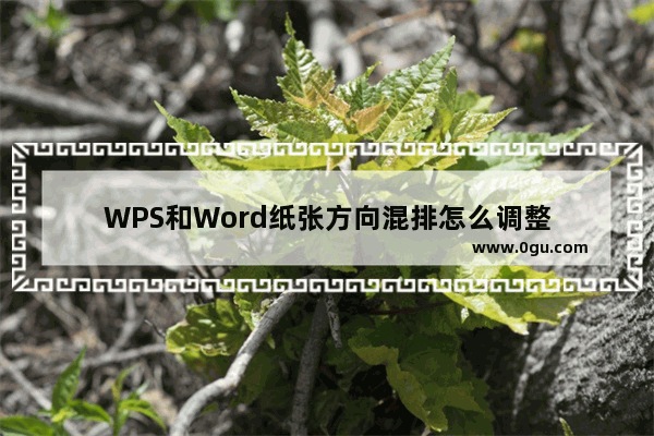 WPS和Word纸张方向混排怎么调整