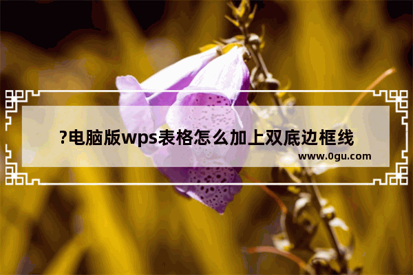 ?电脑版wps表格怎么加上双底边框线