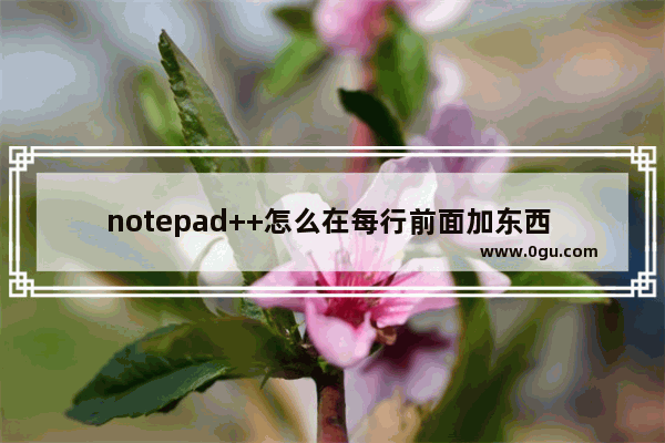 notepad++怎么在每行前面加东西 Notepad++在每行代码前面和末尾处添加内容的方法