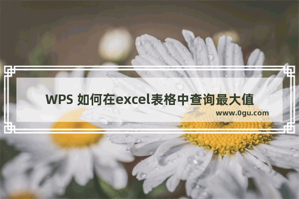 WPS 如何在excel表格中查询最大值和最小值