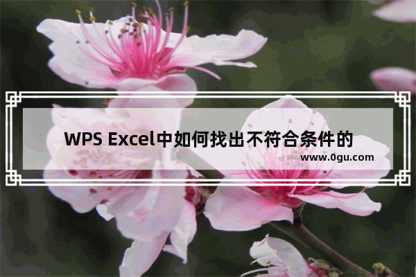 WPS Excel中如何找出不符合条件的单元格