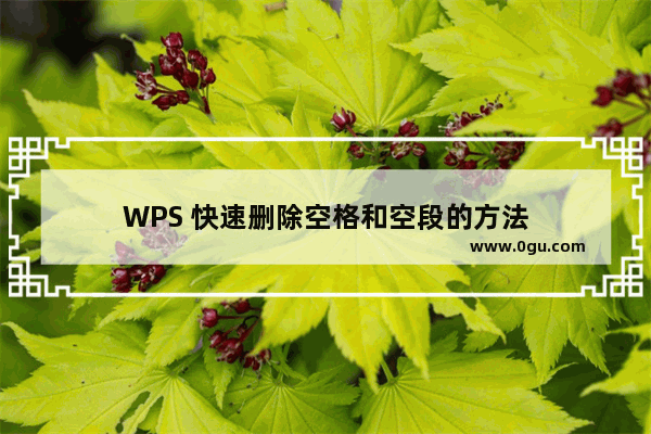 WPS 快速删除空格和空段的方法