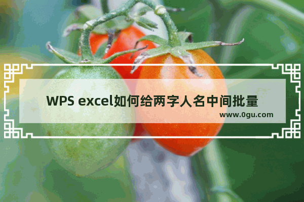 WPS excel如何给两字人名中间批量添加空格