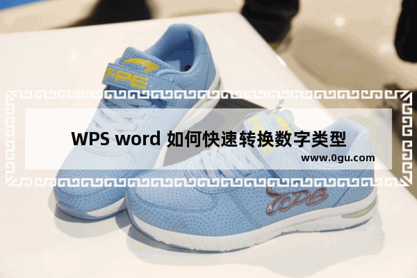 WPS word 如何快速转换数字类型