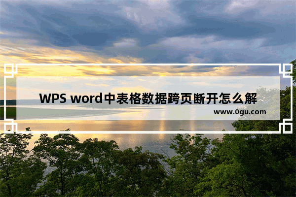 WPS word中表格数据跨页断开怎么解决